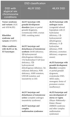 Long-term outcomes in non-CAH 46,XX DSD